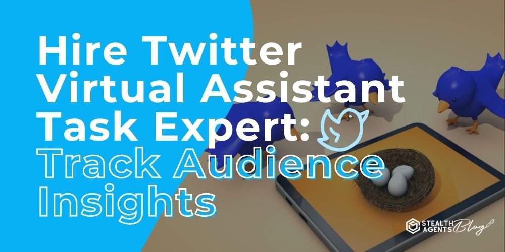 Hire Twitter Virtual Assistant Task Expert: Track Audience Insights