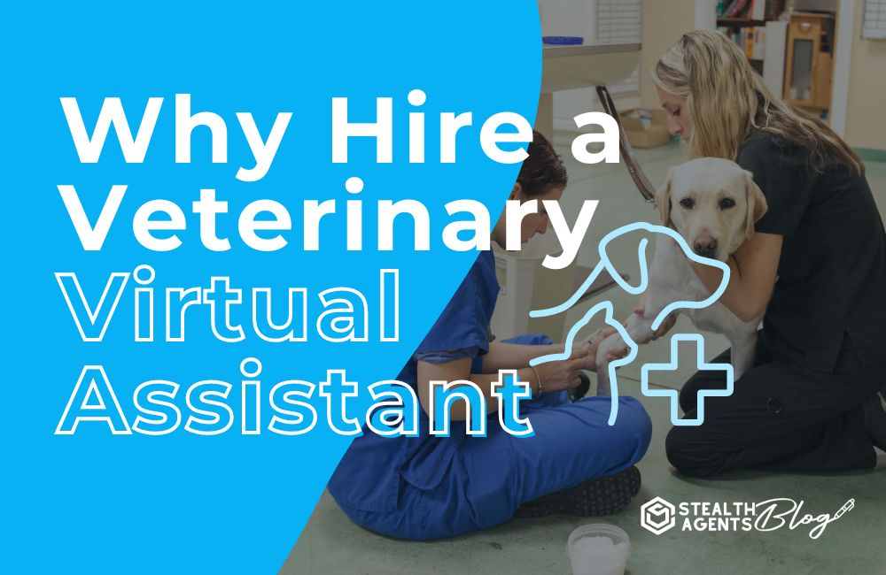 Why Hire a Veterinary Virtual Assistant