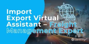 Import Export Virtual Assistant - Freight Management Expert