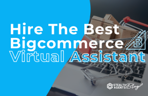Hire The Best Bigcommerce Virtual Assistant