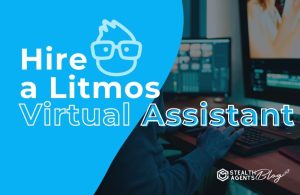 Hire a Litmos Virtual Assistant