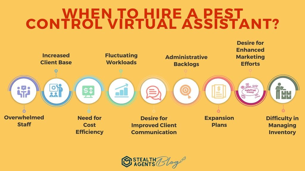 When to Hire a Pest Control Virtual Assistant?