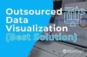 Outsourced Data Visualization (Best Solution)