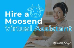 Hire a Moosend Virtual Assistant