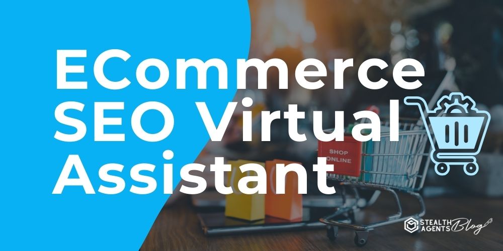 ECommerce SEO Virtual Assistant