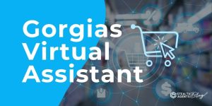 Gorgias Virtual Assistant