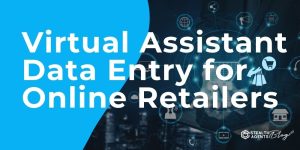 Virtual Assistant Data Entry for Online Retailers