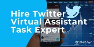 Hire Twitter Virtual Assistant Task Expert