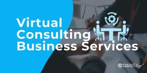 Virtual Consulting Business Services