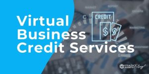 Virtual Business Credit Services