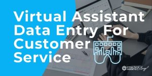 Virtual Assistant Data Entry For Customer Service