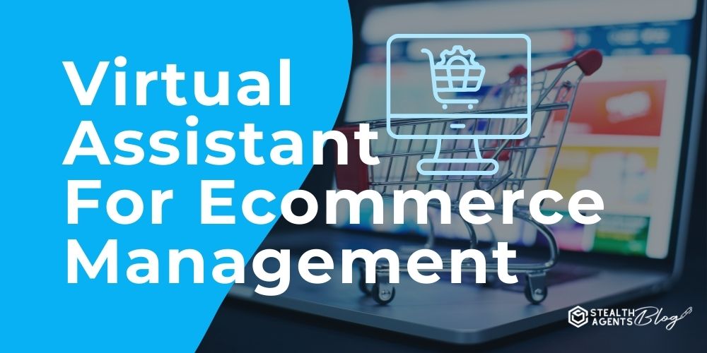 Virtual Assistant For Ecommerce Management