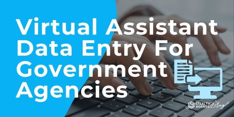 Virtual Assistant Data Entry For Government Agencies