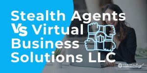 Stealth Agents vs Virtual Business Solutions LLC