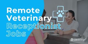 Remote Veterinary Receptionist Jobs