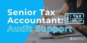 Senior Tax Accountant: Audit Support