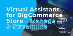 Virtual Assistant for BigCommerce Store – Manage & Streamline