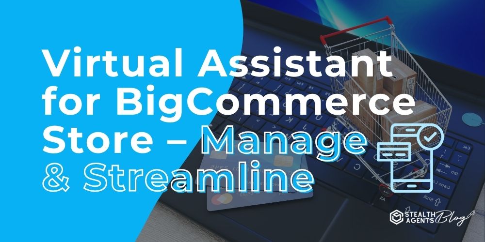 Virtual Assistant for BigCommerce Store – Manage & Streamline