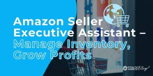 Amazon Seller Executive Assistant – Manage Inventory, Grow Profits