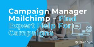 Campaign Manager Mailchimp - Find Expert Help For Campaigns