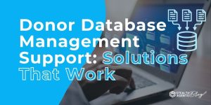 Donor Database Management Support: Solutions That Work