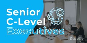 Senior C-Level Executives – Executive Outsourcing