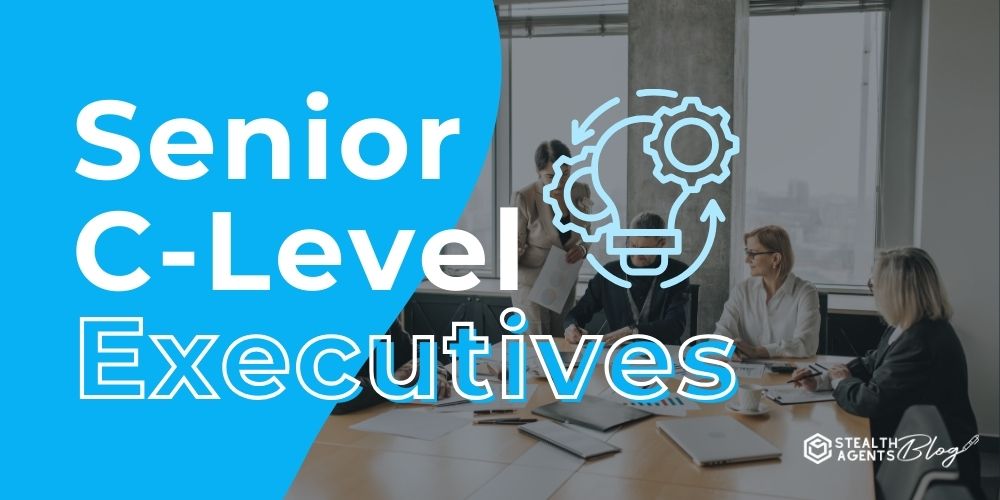 Senior C-Level Executives – Executive Outsourcing