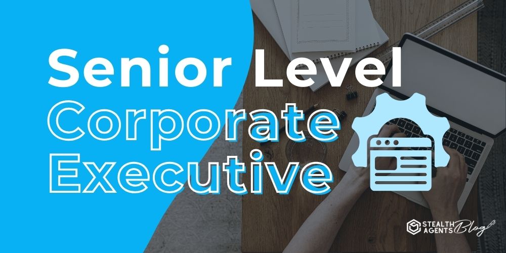 Senior Level Corporate Executive – Strategic Support & Decision Help
