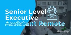 Senior Level Executive Assistant Remote – Cost vs Value
