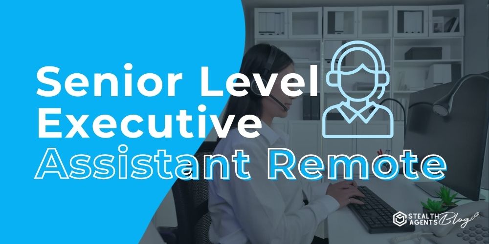 Senior Level Executive Assistant Remote – Cost vs Value