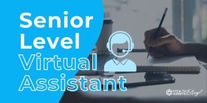 Senior Level Virtual Assistant – Costs, Skills & ROI Explained