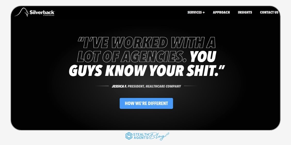 Silverback Strategies