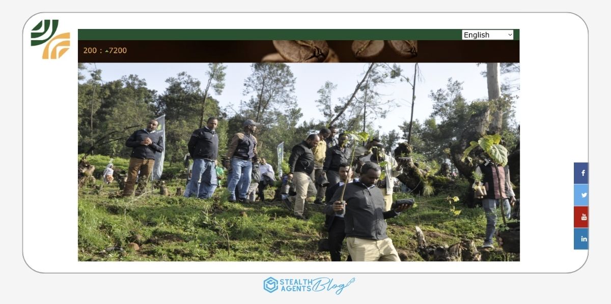 ECX (Ethiopian Commodity Exchange)