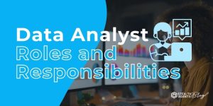 Data Analyst Roles and Responsibilities