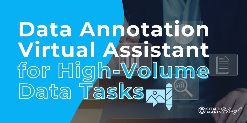 Data Annotation Virtual Assistant for High-Volume Data Tasks