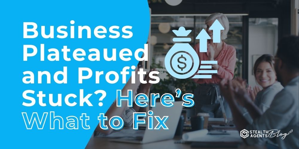Business Plateaued and Profits Stuck? Here’s What to Fix