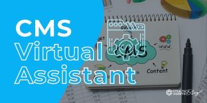 CMS Virtual Assistant – WordPress, Drupal & Data Management