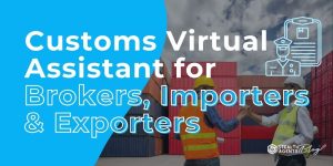 Customs Virtual Assistant for Brokers, Importers & Exporters