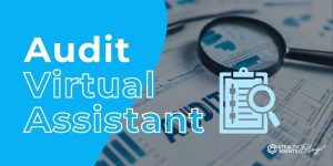 Audit Virtual Assistant