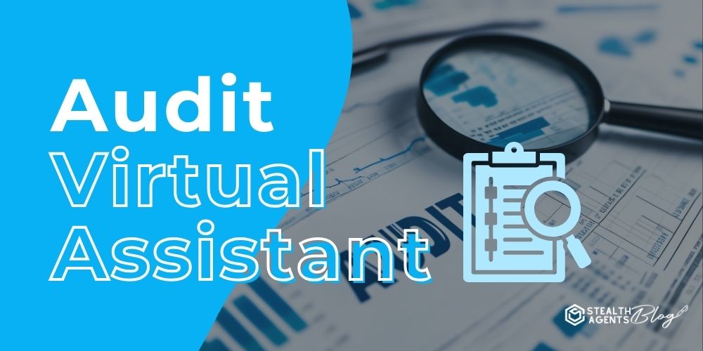 Audit Virtual Assistant